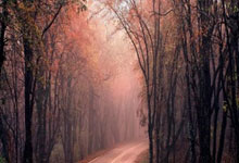 西班牙-险胜瑞士，成功晋级欧洲杯八强