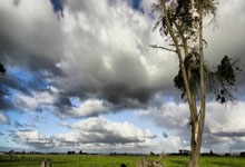 热那亚主场挫败乌迪内斯，稳定排名