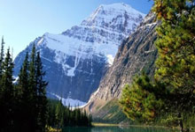 奥克兰选手在帆船比赛中力克对手获胜